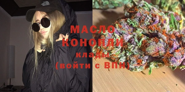 тгк Гусев