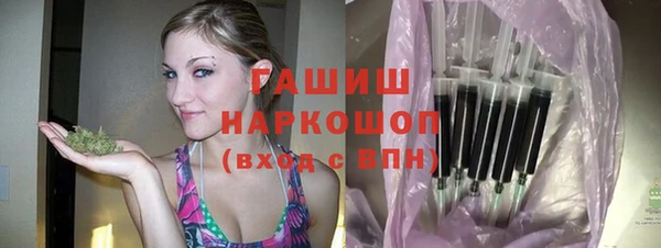тгк Гусев