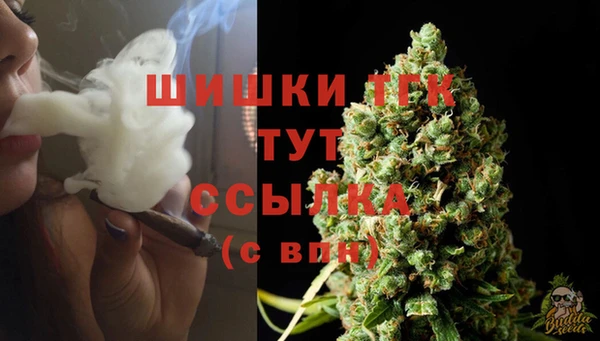 тгк Гусев
