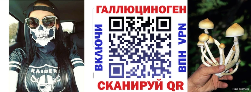 Галлюциногенные грибы Psilocybe  Купить  Карачаевск 